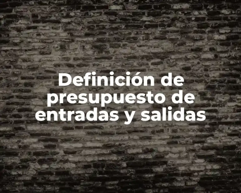 Definición de presupuesto de entradas y salidas