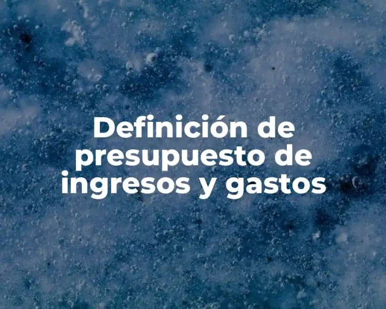Definición de presupuesto de ingresos y gastos