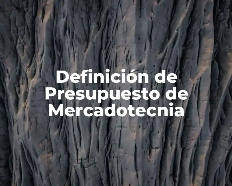 Definición de Presupuesto de Mercadotecnia