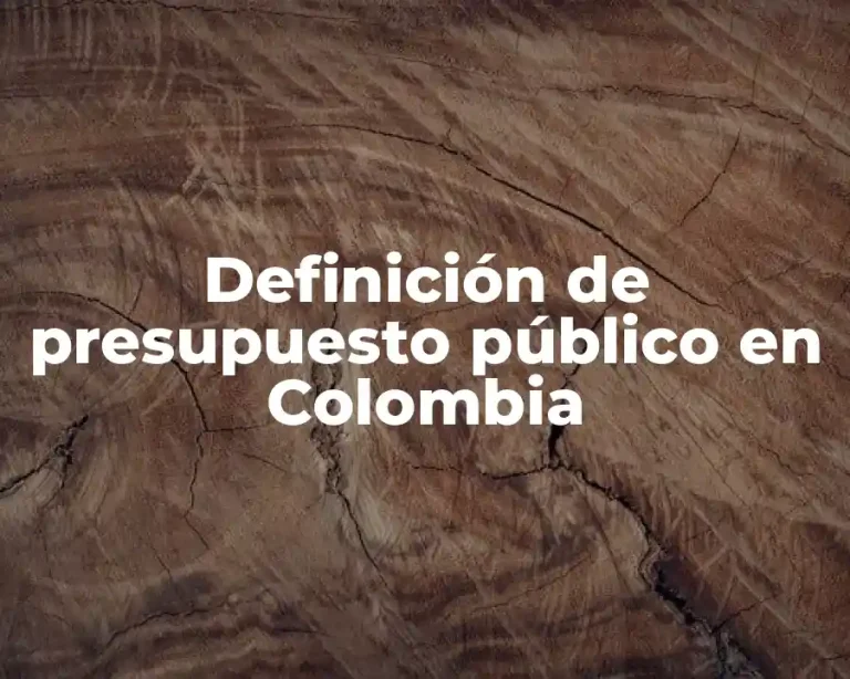 Definición de presupuesto público en Colombia