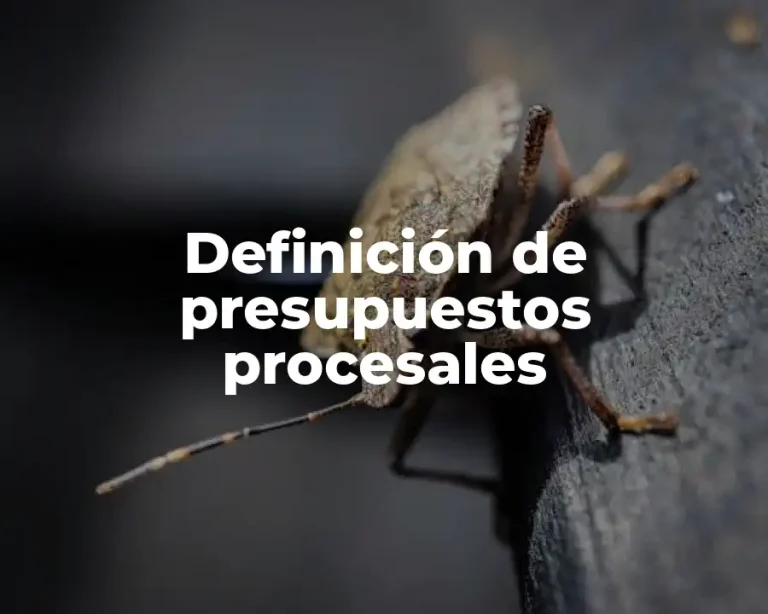 Definición de presupuestos procesales