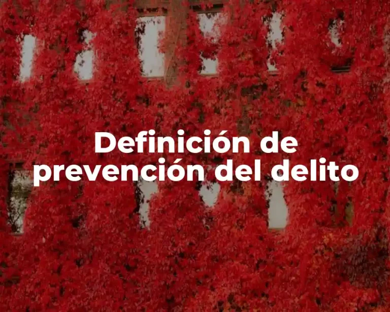 Definición de prevención del delito