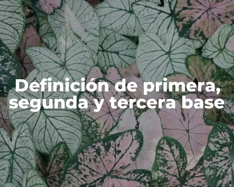 Definición de primera, segunda y tercera base