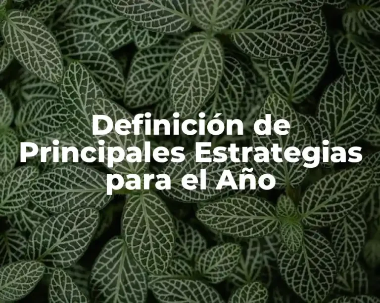 Definición de Principales Estrategias para el Año