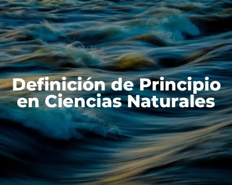 Definición de Principio en Ciencias Naturales