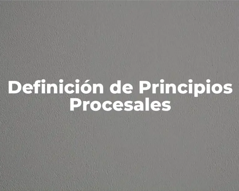 Definición de Principios Procesales