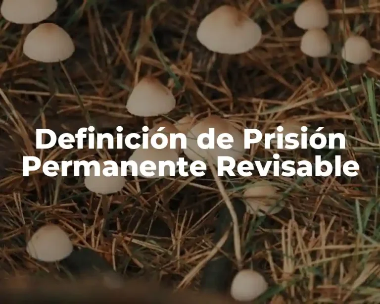 Definición de Prisión Permanente Revisable