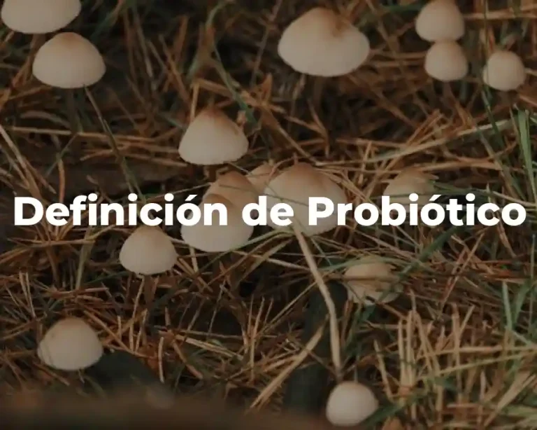 Definición de Probiótico