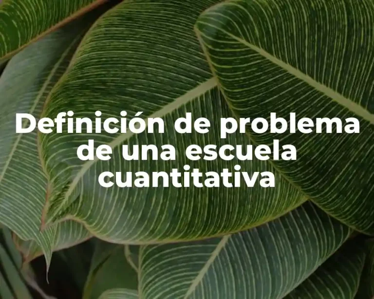 Definición de problema de una escuela cuantitativa