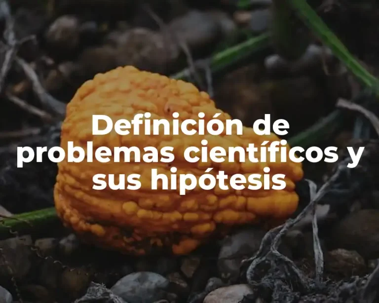 Definición de problemas científicos y sus hipótesis