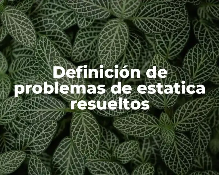 Definición de problemas de estatica resueltos