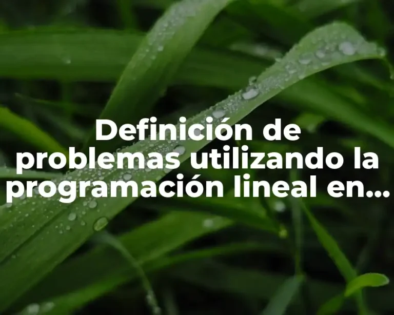 Definición de problemas utilizando la programación lineal en empresa turística