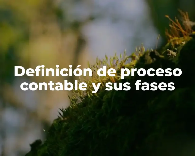 Definición de proceso contable y sus fases