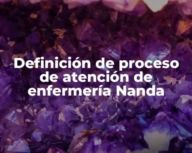 Definición de proceso de atención de enfermería Nanda