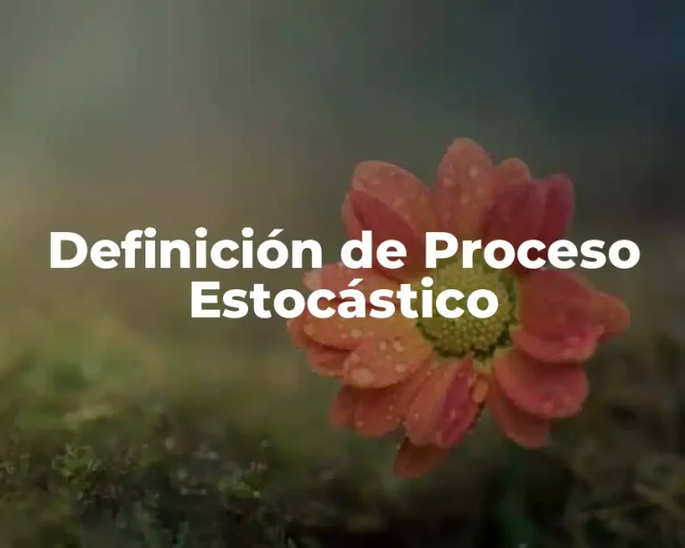 Definición de Proceso Estocástico