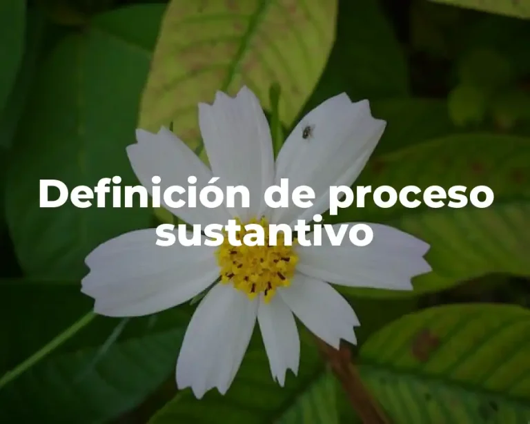Definición de proceso sustantivo