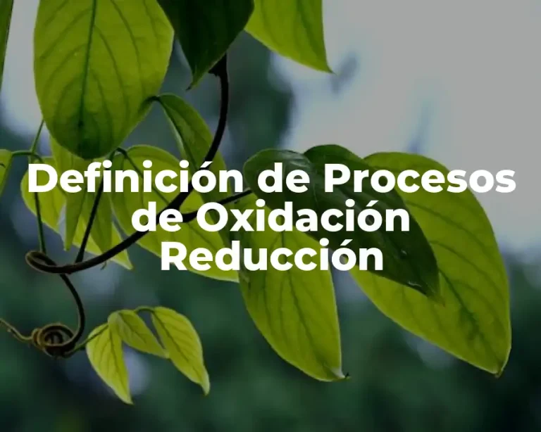 Definición de Procesos de Oxidación Reducción