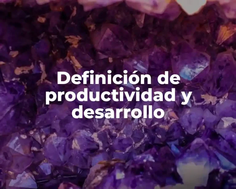 Definición de productividad y desarrollo