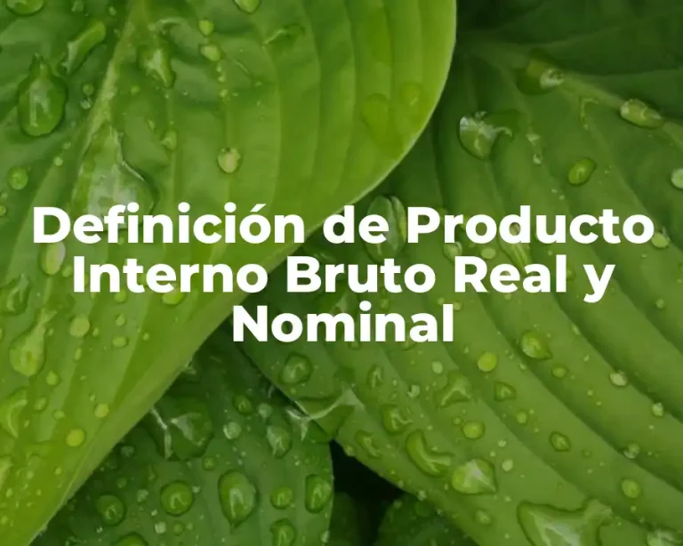 Definición de Producto Interno Bruto Real y Nominal