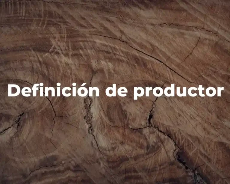 Definición de productor