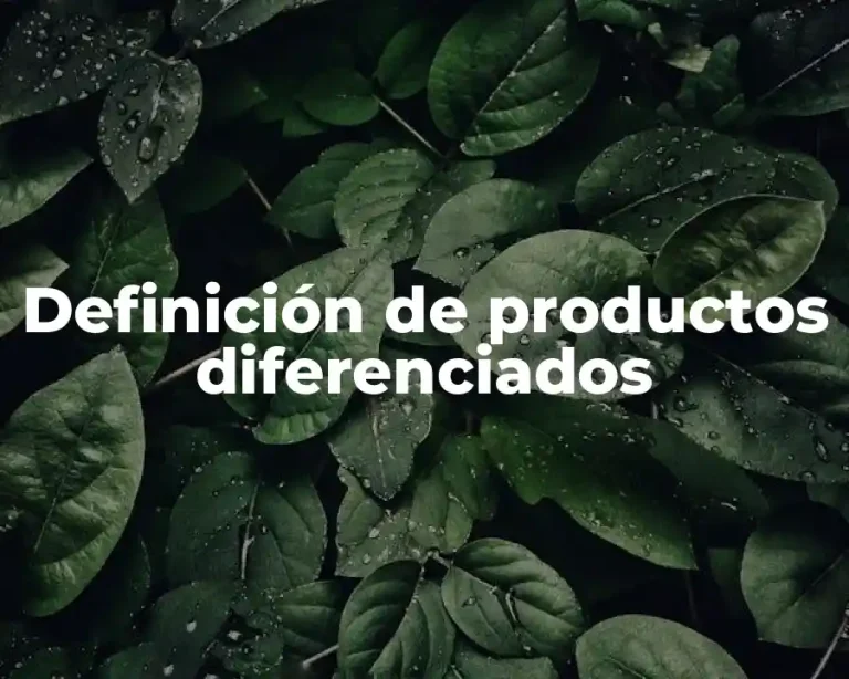 Definición de productos diferenciados