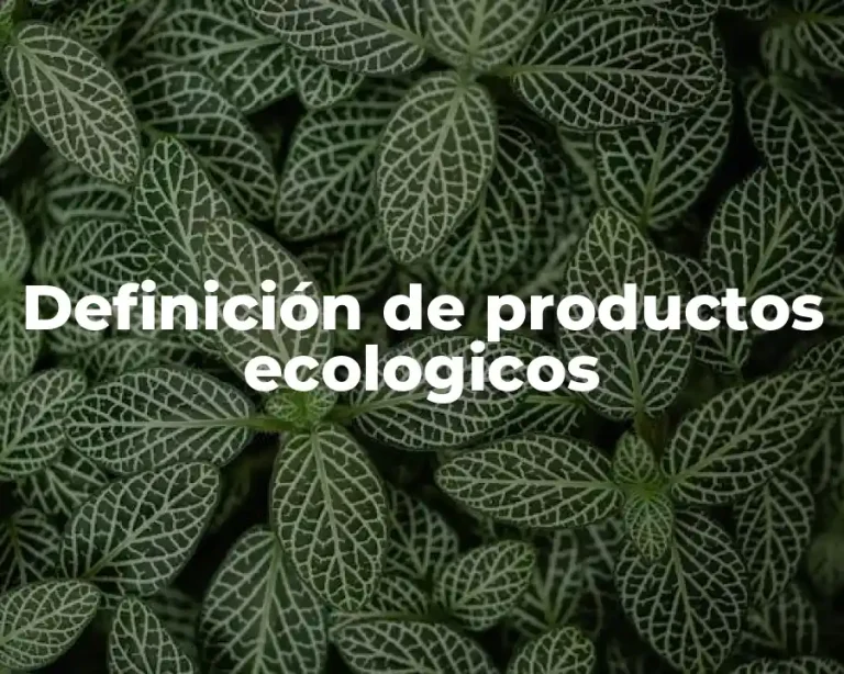 Definición de productos ecologicos