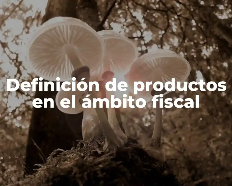Definición de productos en el ámbito fiscal