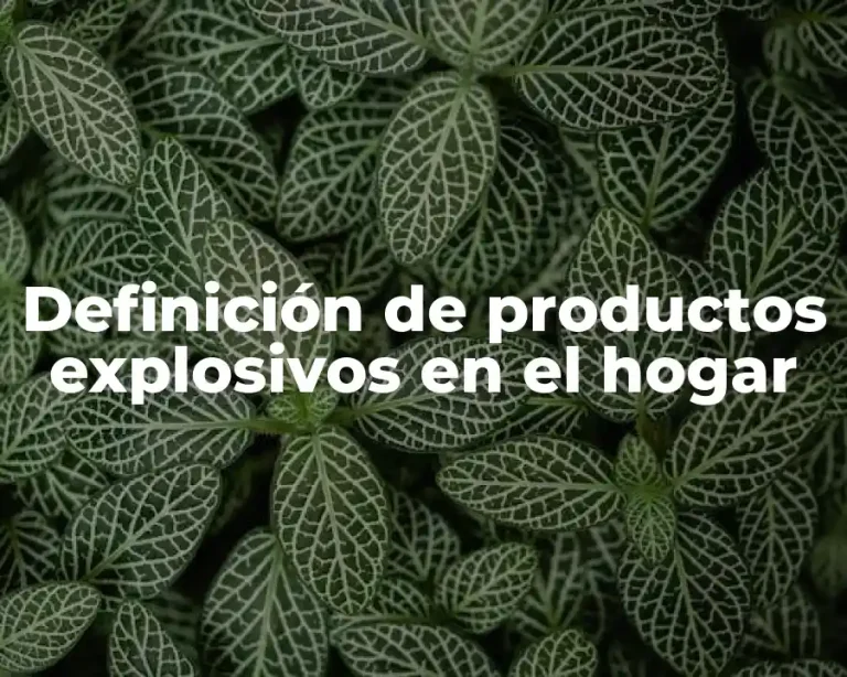 Definición de productos explosivos en el hogar