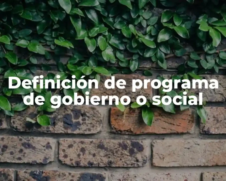 Definición de programa de gobierno o social