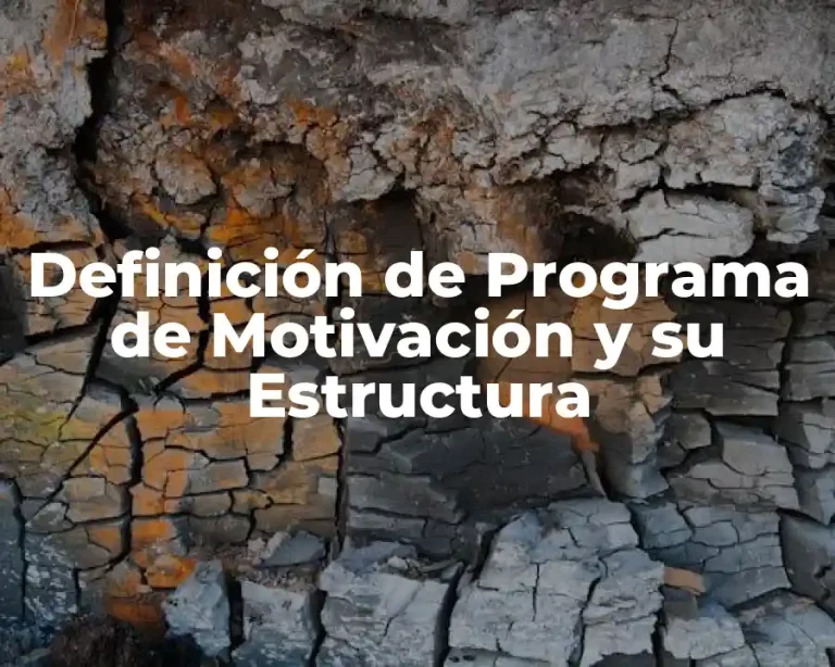 Definición de Programa de Motivación y su Estructura