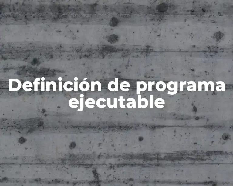Definición de programa ejecutable