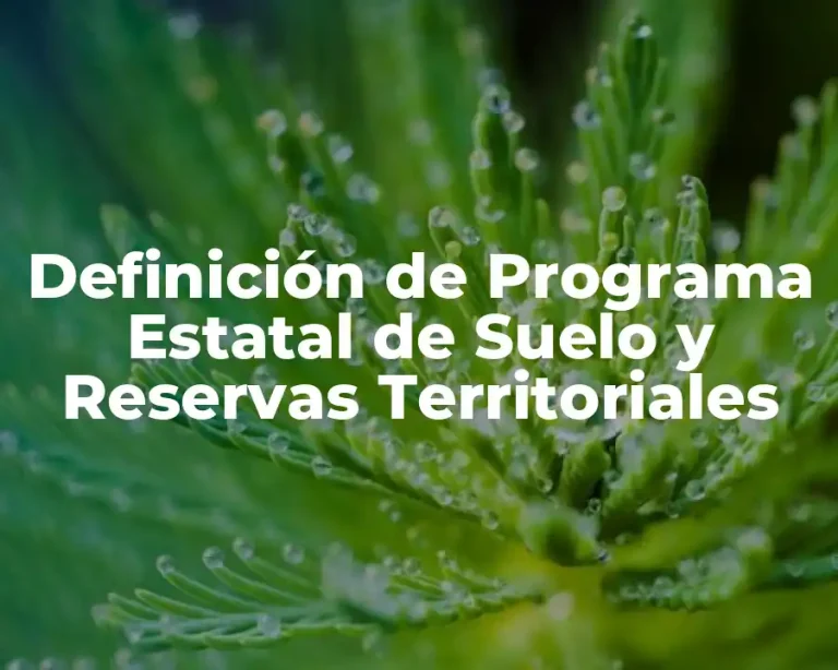 Definición de Programa Estatal de Suelo y Reservas Territoriales