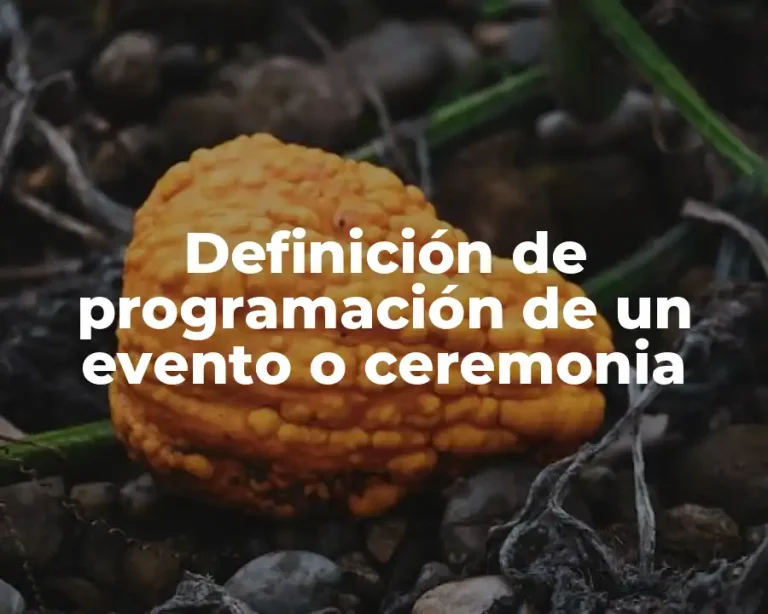 Definición de programación de un evento o ceremonia