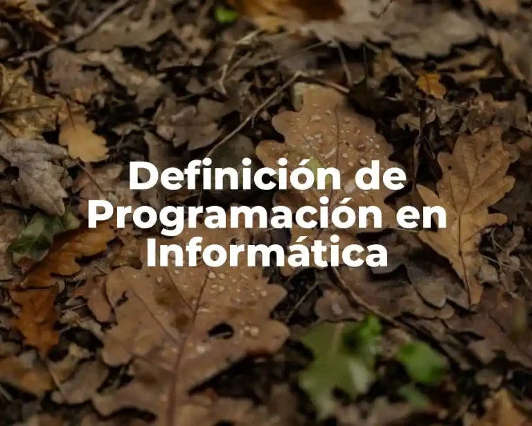 Definición de Programación en Informática