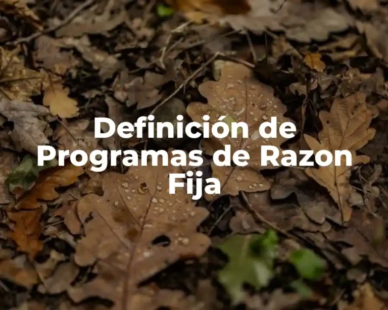 Definición de Programas de Razon Fija