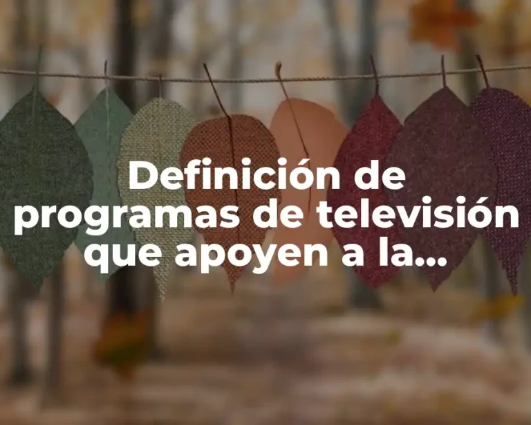 Definición de programas de televisión que apoyen a la educación