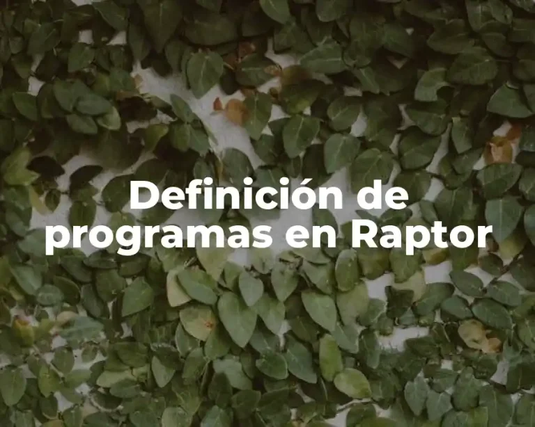 Definición de programas en Raptor