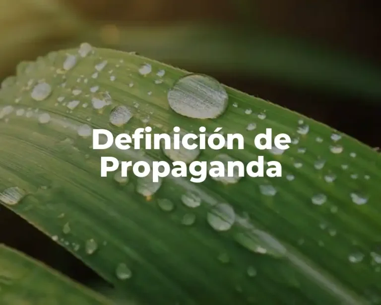 Definición de Propaganda