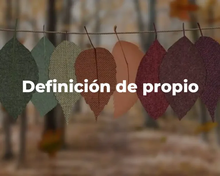 Definición de propio