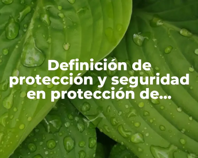Definición de protección y seguridad en protección de documentos
