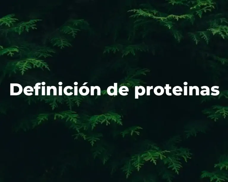 Definición de proteinas
