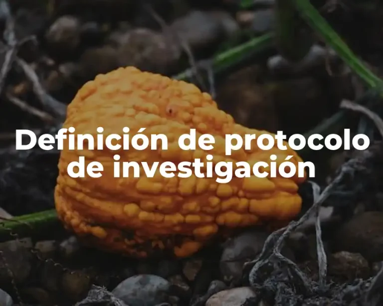Definición de protocolo de investigación