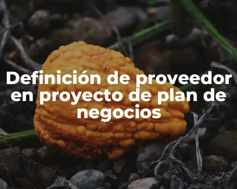 Definición de proveedor en proyecto de plan de negocios