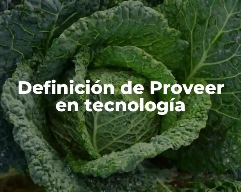 Definición de Proveer en tecnología