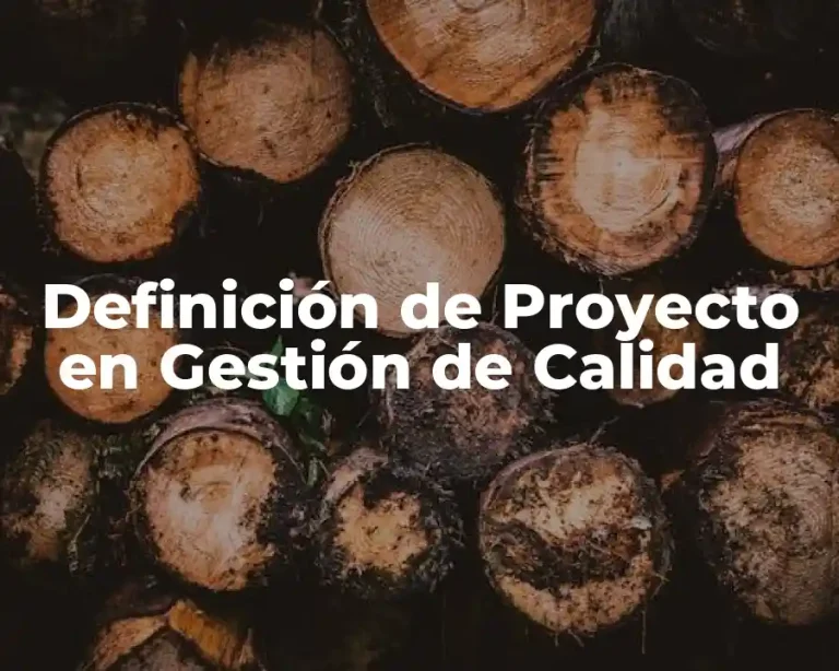 Definición de Proyecto en Gestión de Calidad