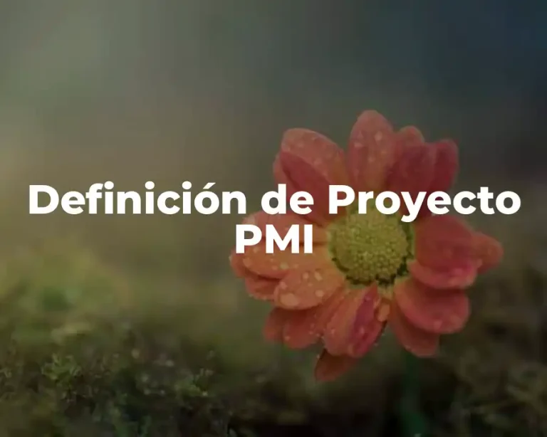 Definición de Proyecto PMI