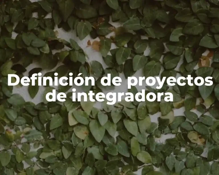 Definición de proyectos de integradora