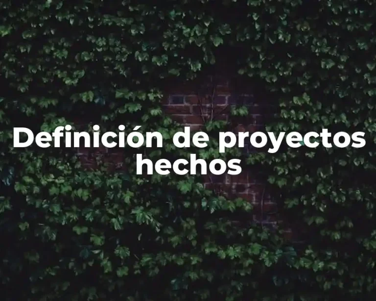 Definición de proyectos hechos