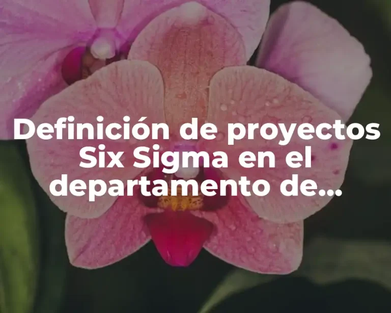 Definición de proyectos Six Sigma en el departamento de aseguranza