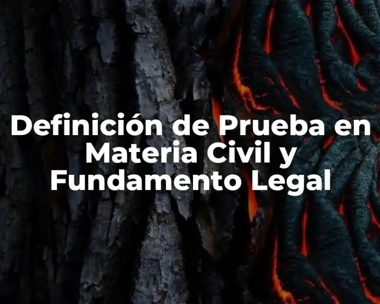 Definición de Prueba en Materia Civil y Fundamento Legal